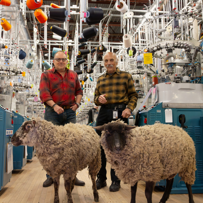 Test Your Knowledge - Darn Tough's founding father and son in the Mill, with two sheep
