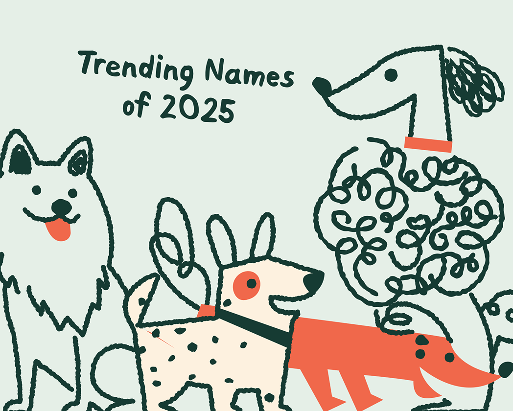 our-top-dog-names-of-2025