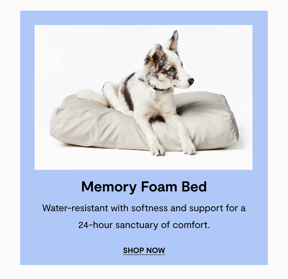 Memory Foam Bed