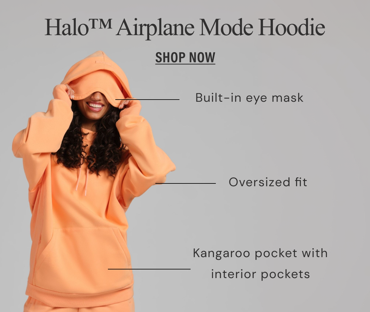 Shop the Halo Airplane Mode Hoodie