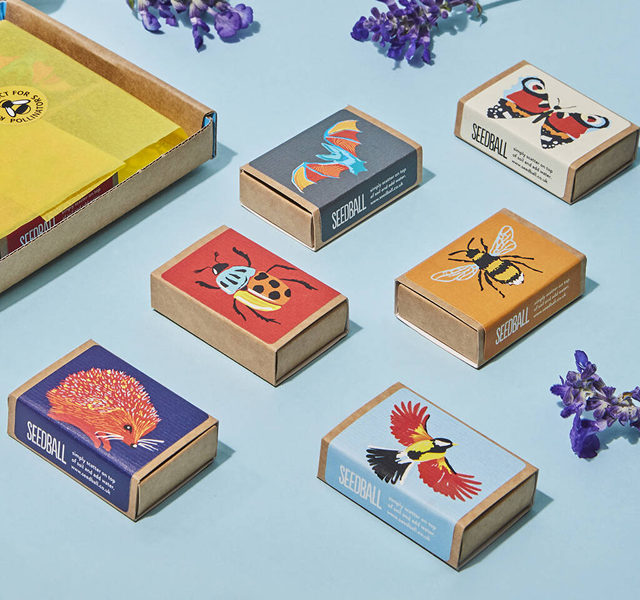 Wildflower Seeds For Garden Wildlife Collection