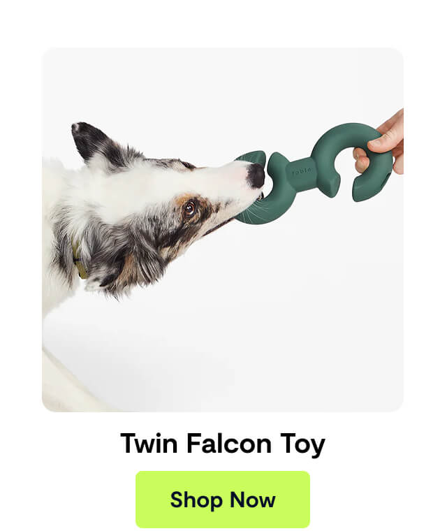 Twin Falcon Toy