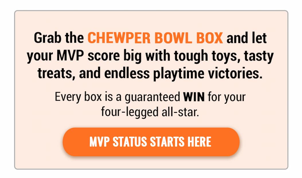 Bullymake Dog Toy Subscription Box