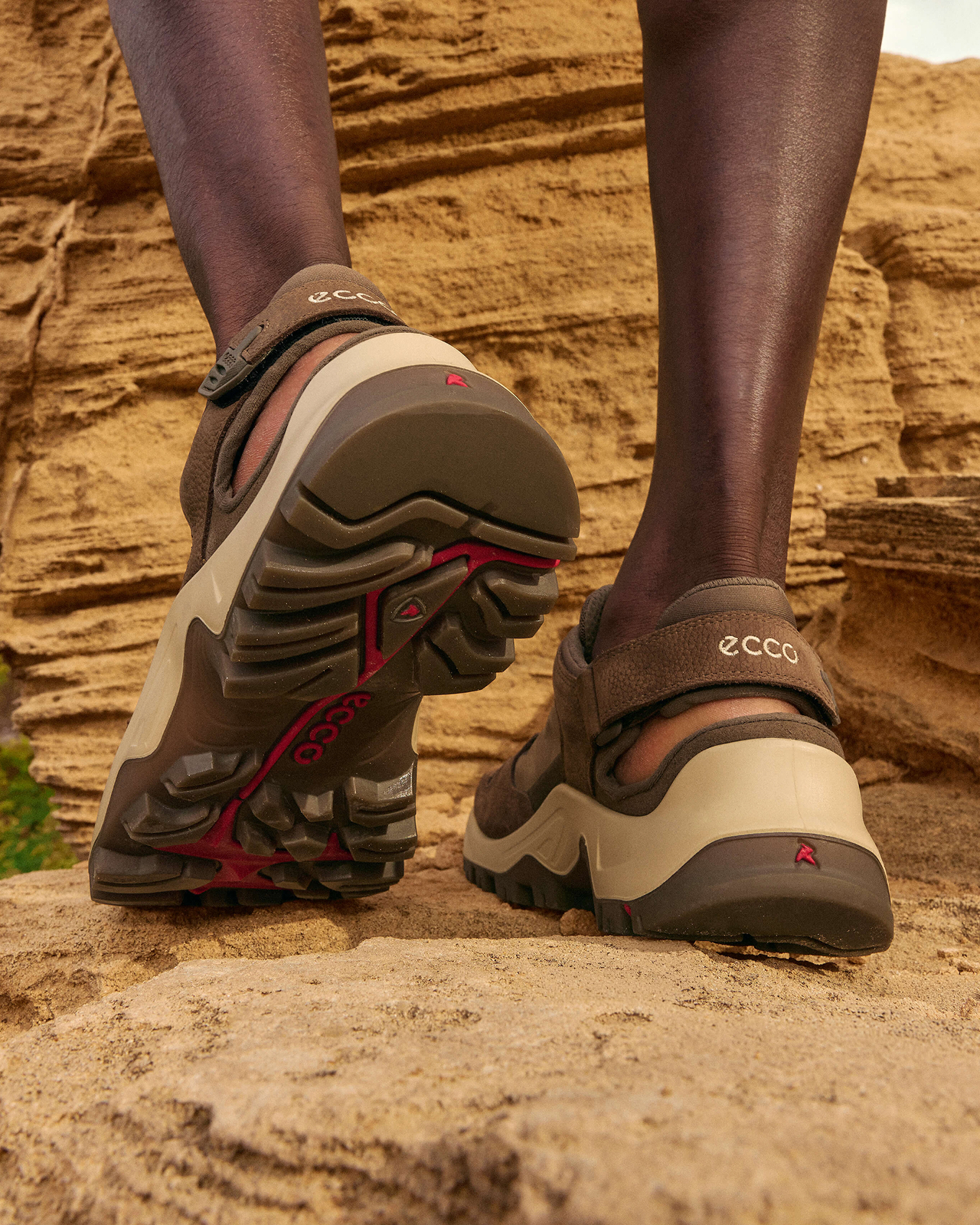ECCO Offroad