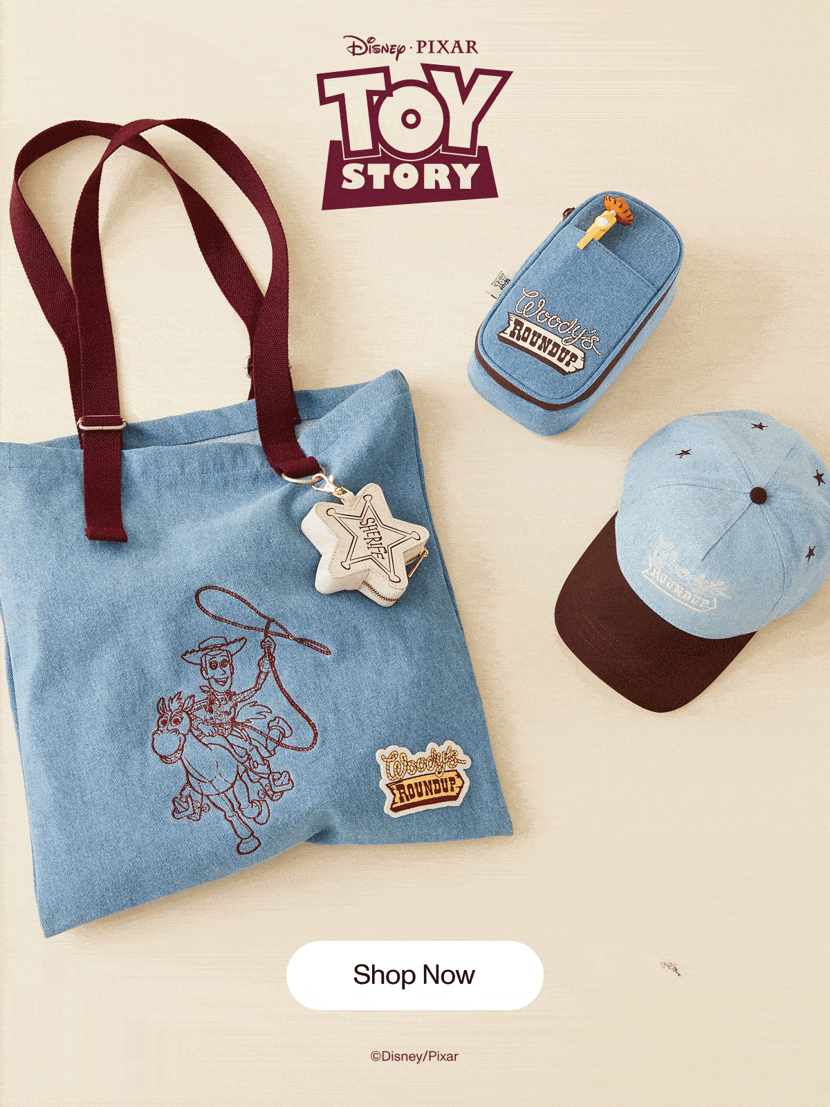 TOY STORY LAUNCH