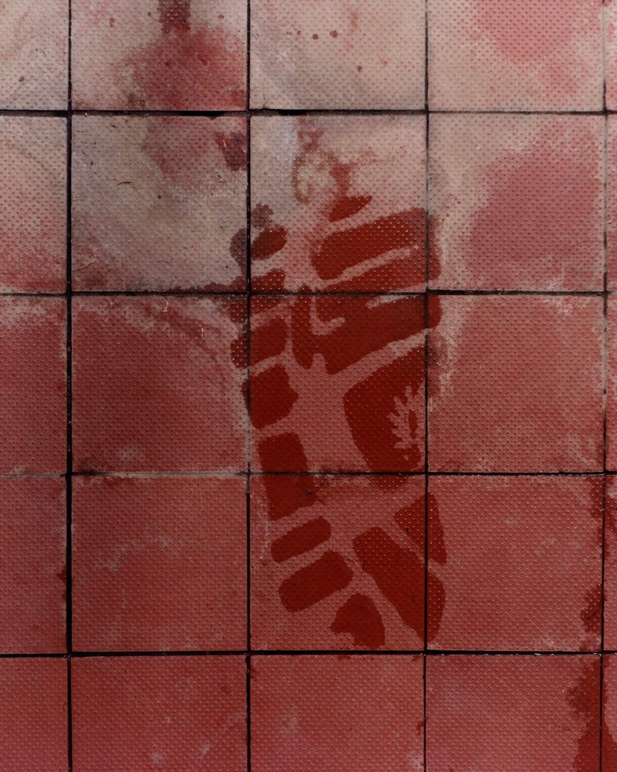 Insignia Slide
