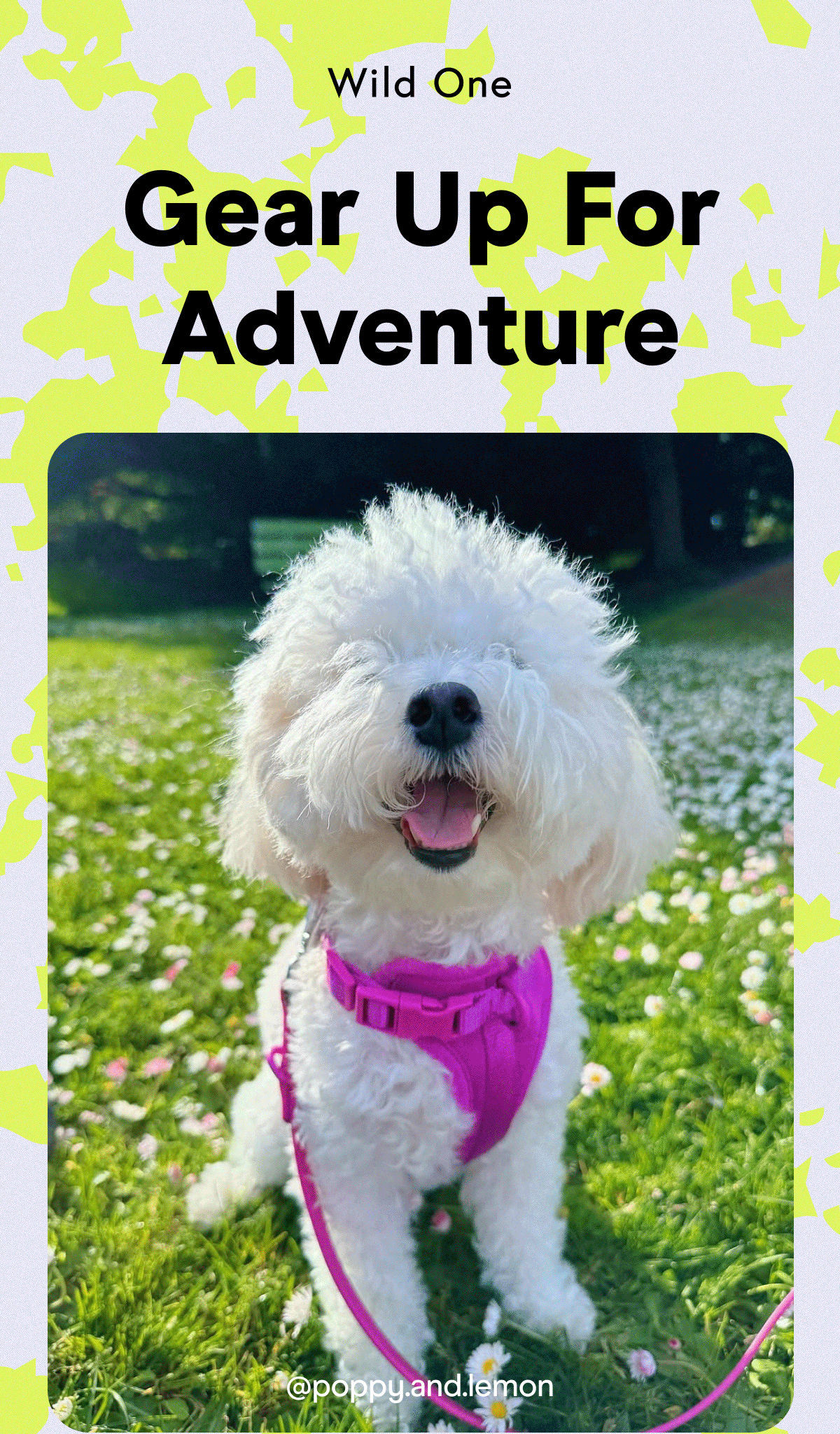 Gear Up For Adventure