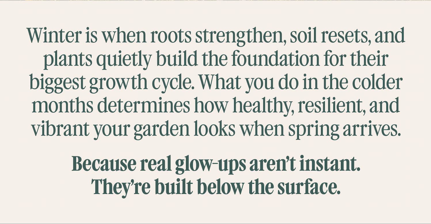 Winter is when roots strengthen, soil resets, and plants quietly build the foundation for their biggest growth cycle. What you do in the colder months determines how healthy, resilient, and vibrant your garden looks when spring arrives.  Because real glow-ups aren’t instant. They’re built below the surface.