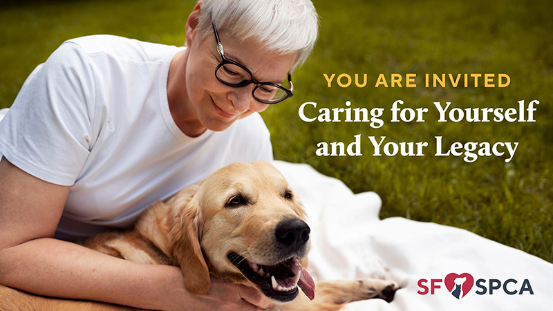Woman sitting with her golden retriever