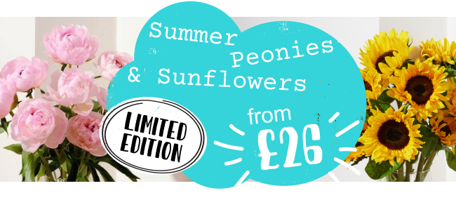 Summer flowers