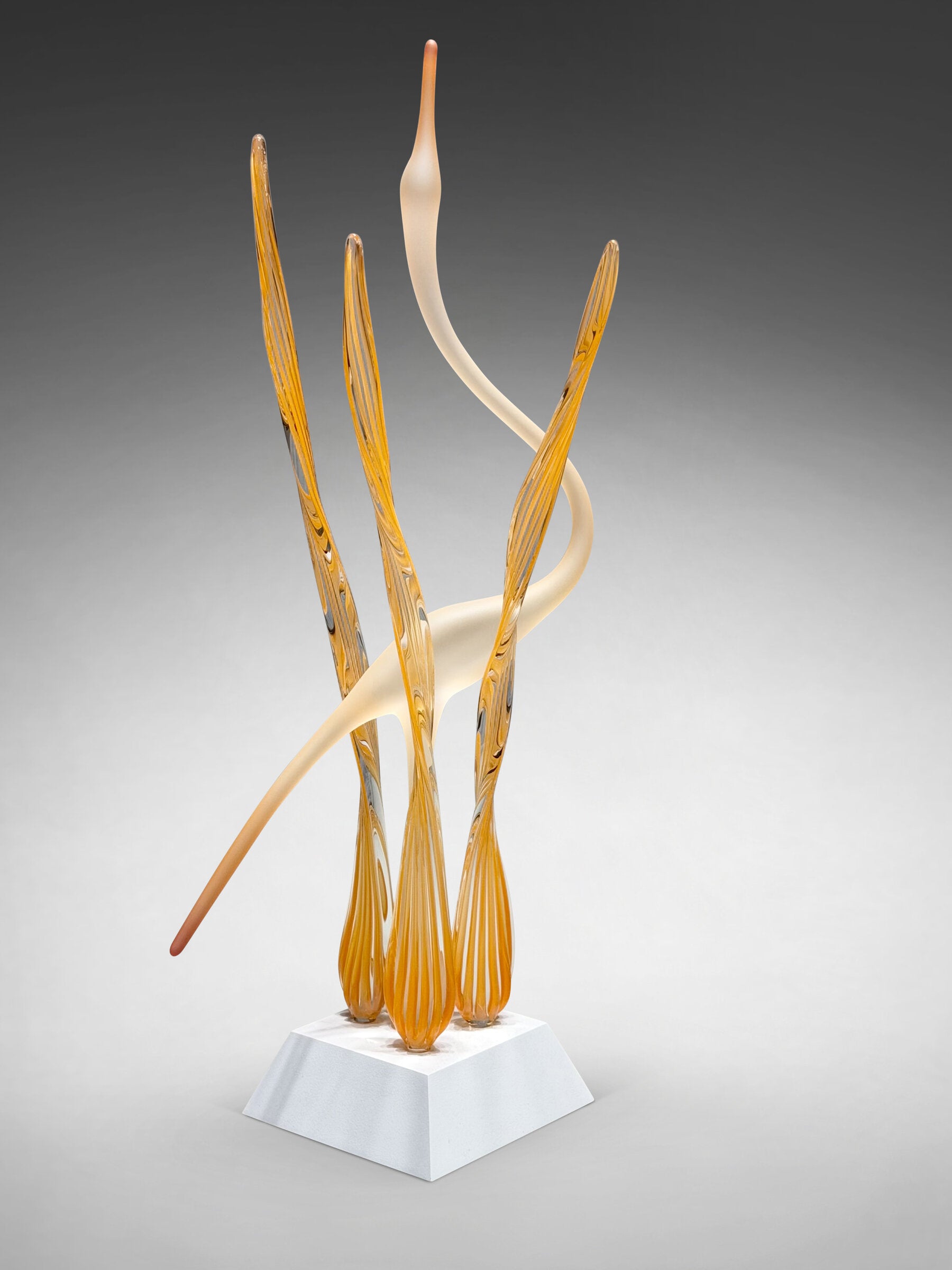 Image of Heron In The Marsh, Apricot - White Base