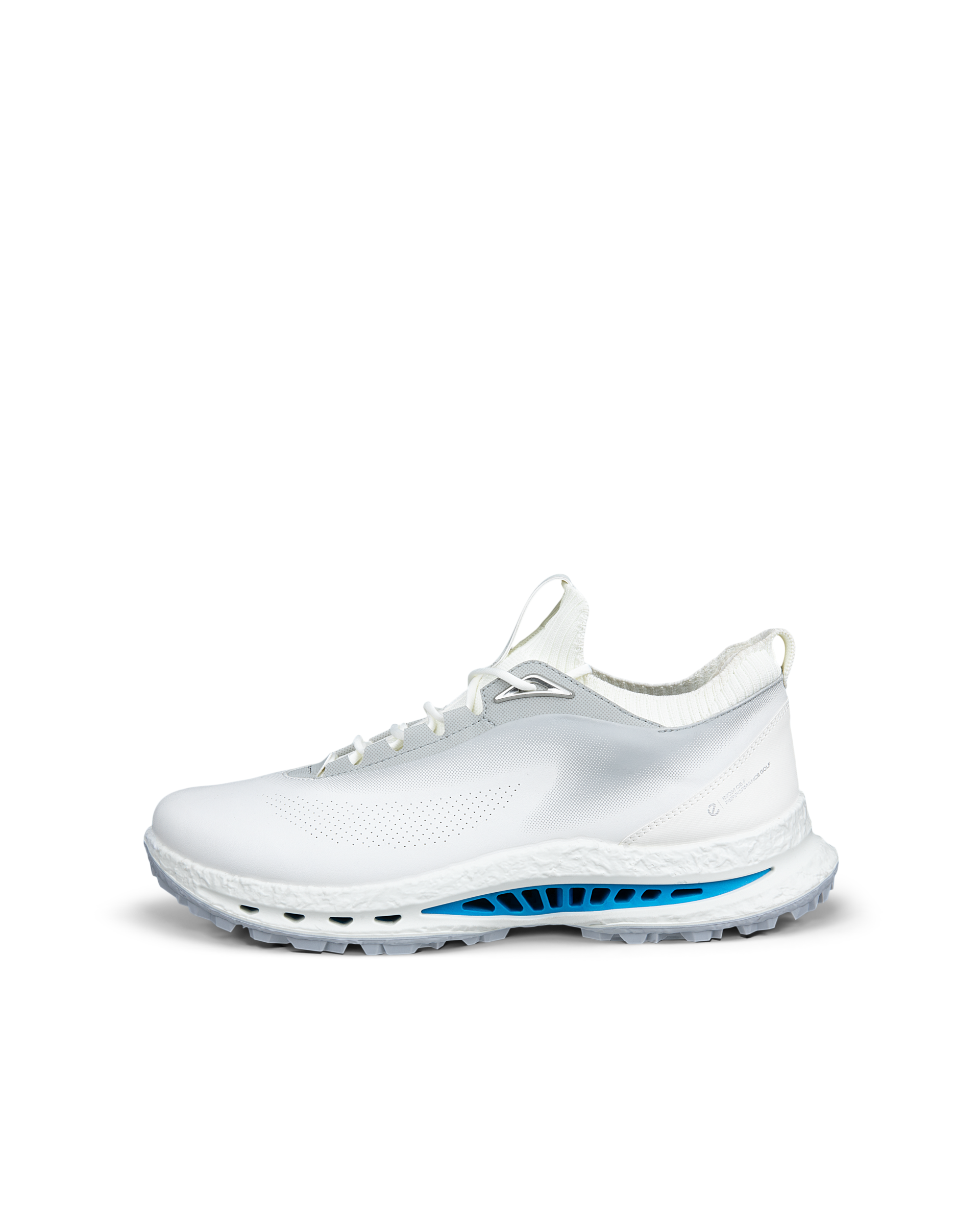 ECCO Golf Biom C5