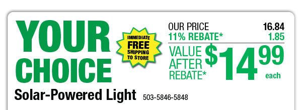 Your Choice - Solar-Powered Light - ONLY $14.99 After Rebate*!