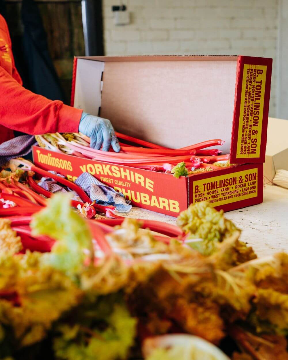 Read more about Tomlinson's Rhubarb - Here being packed into its trademark red boxes.