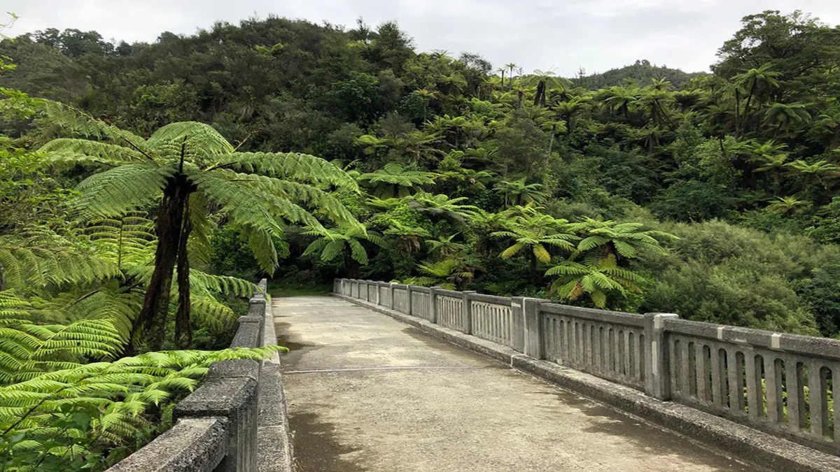 Bridge to Nowhere, Manawatu-Wanganui
