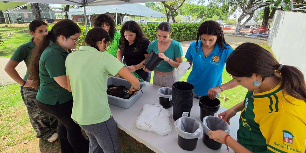 A group of 8 students work at a table with small pots of baby mangroves.