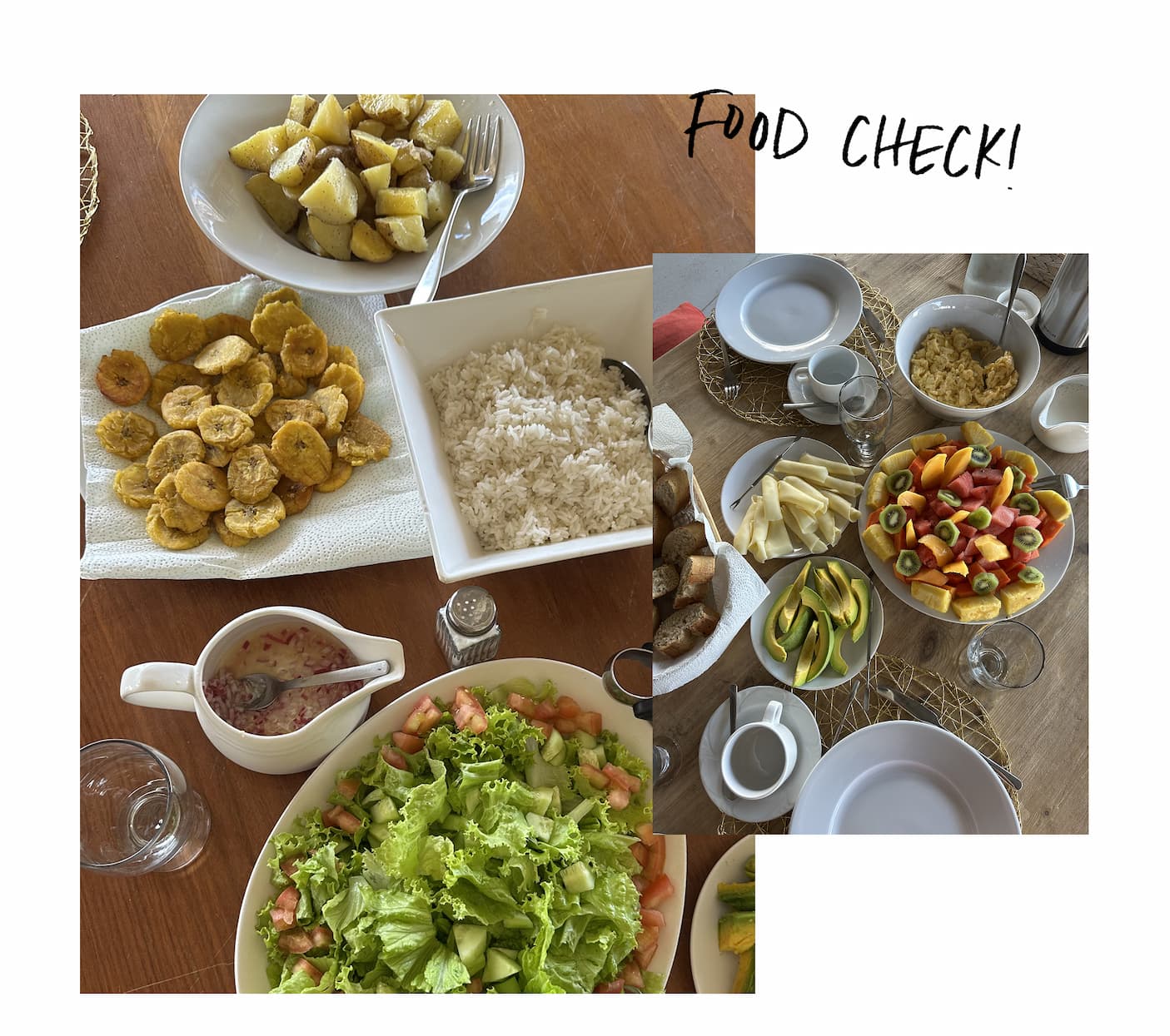 Food Check!