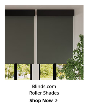 Blinds.com Roller Shades | Shop Now >
