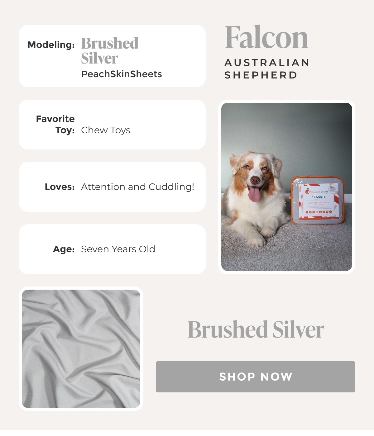 Shop Brushed Silver