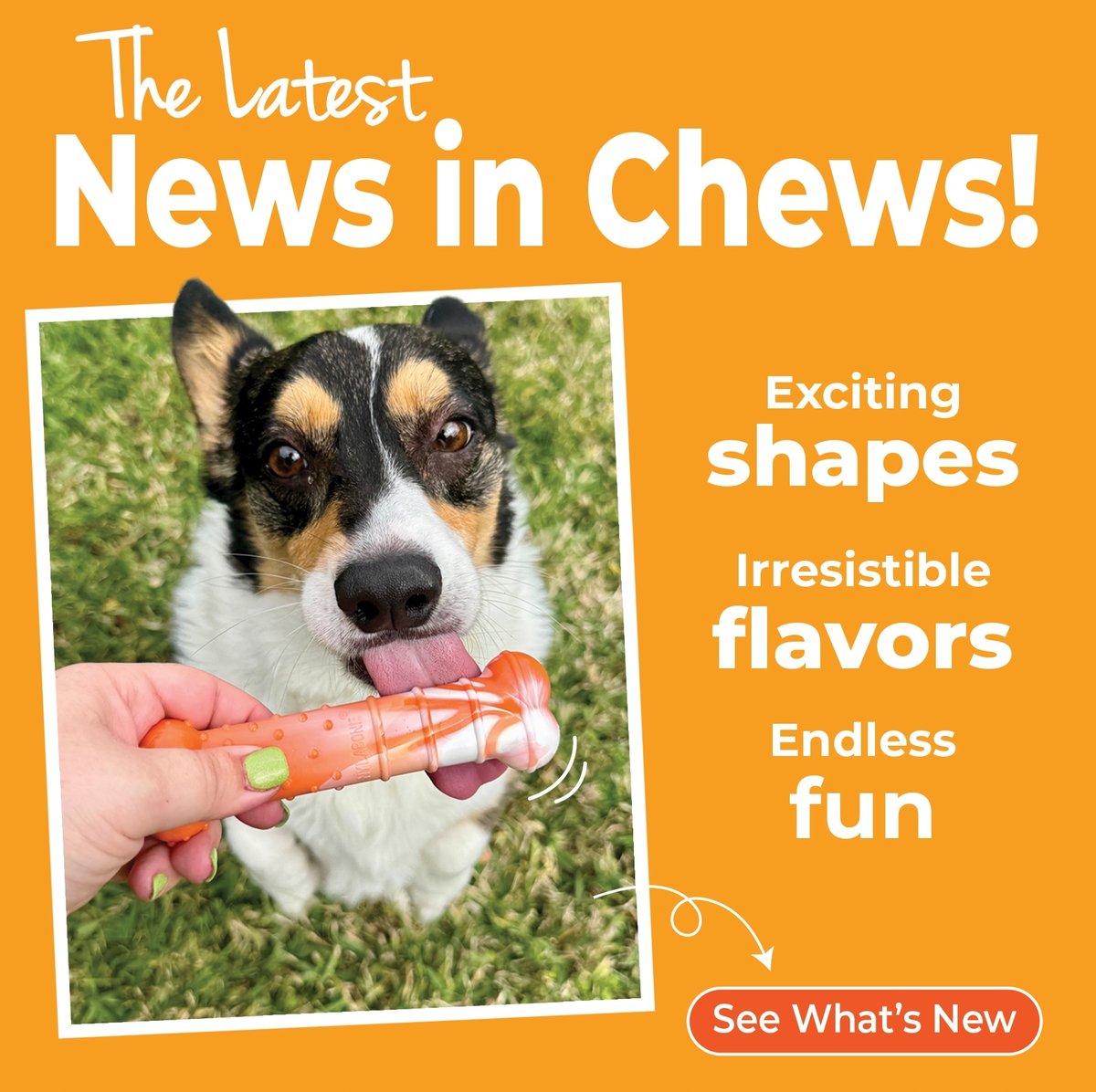WEBEB-Nyla_FY25-ClubNylabone_Graphic1_900x1100-2