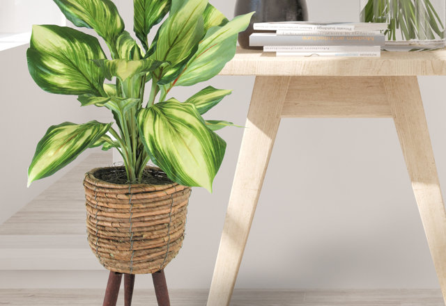 In-Stock Botanicals