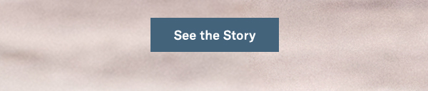 See the Story
