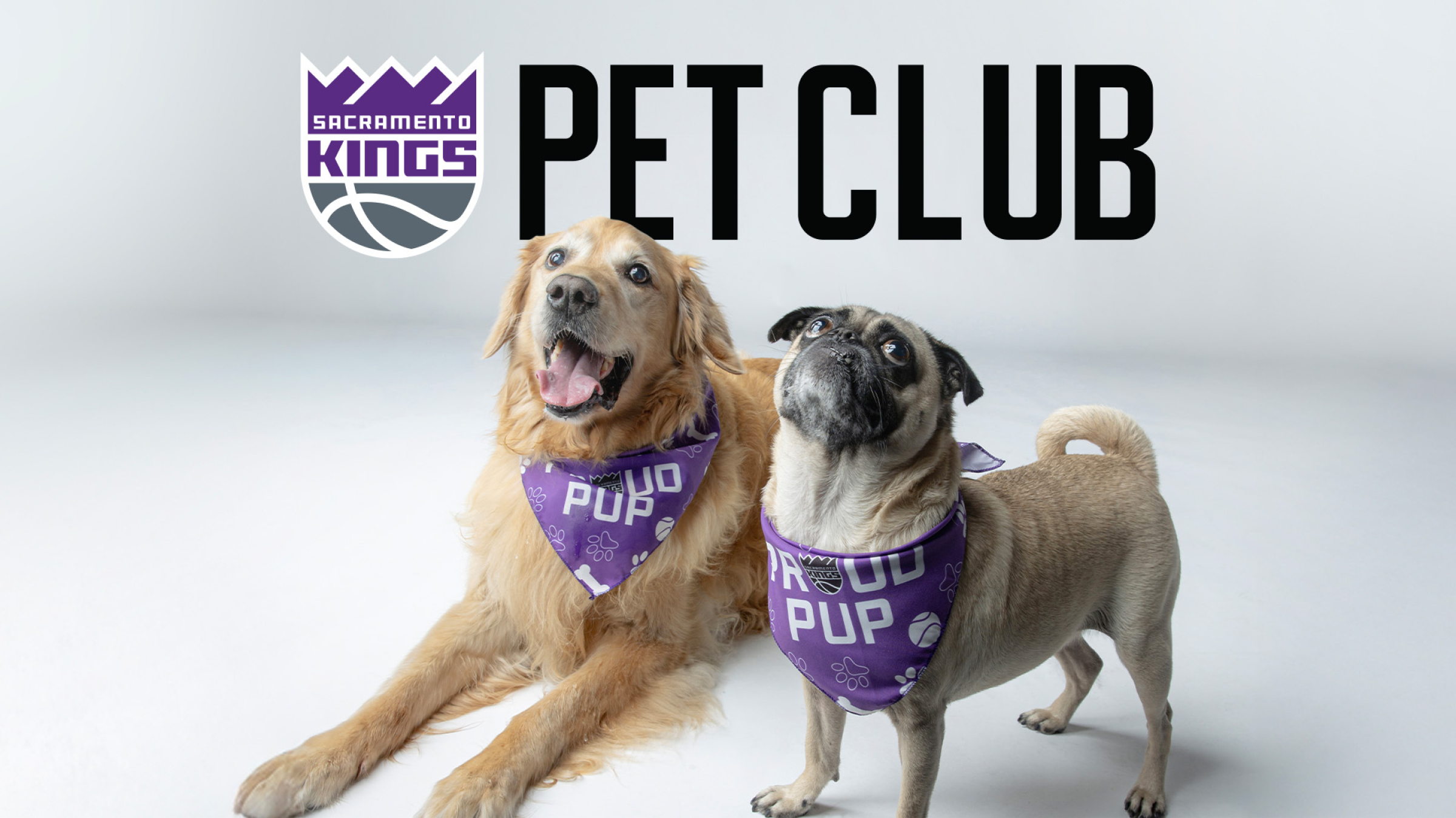 Pet Club