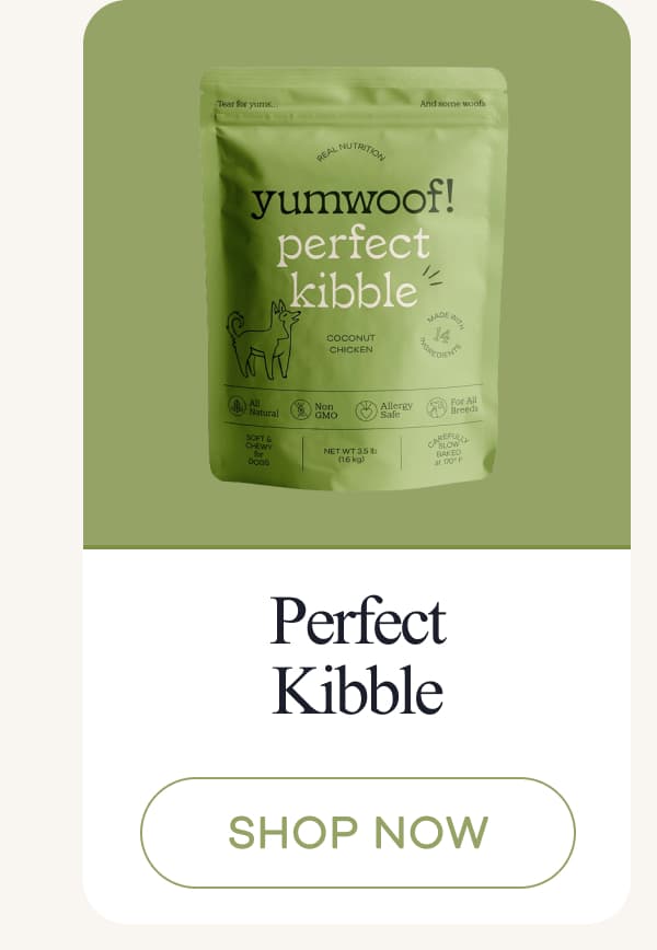 Perfect Kibble | shop now