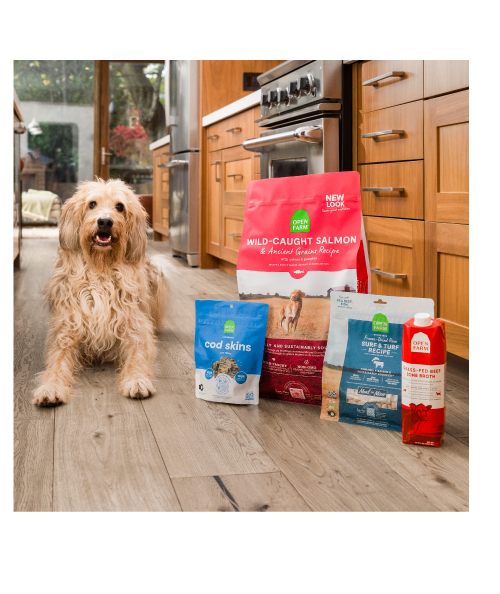 Shop Dry Dog Food