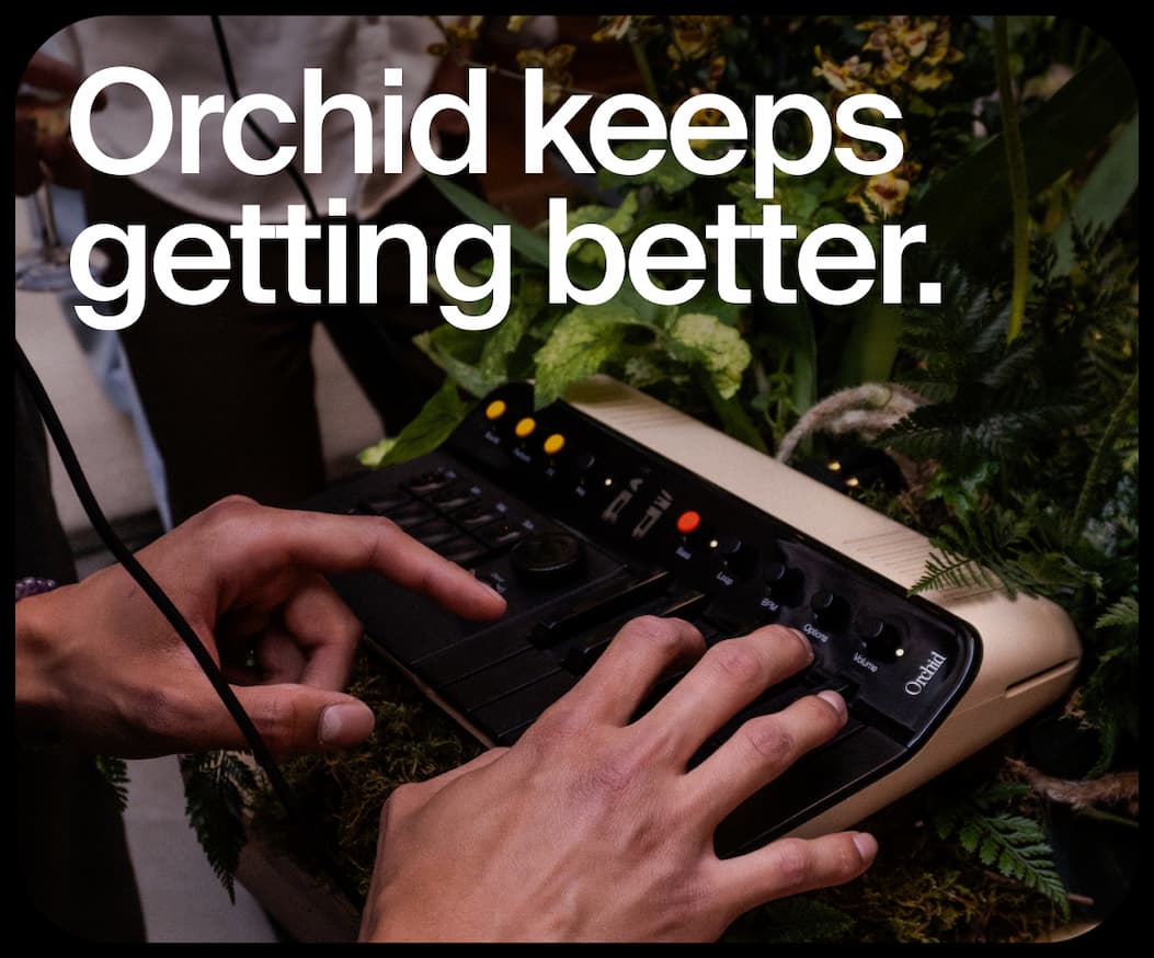 Orchid keeps getting better