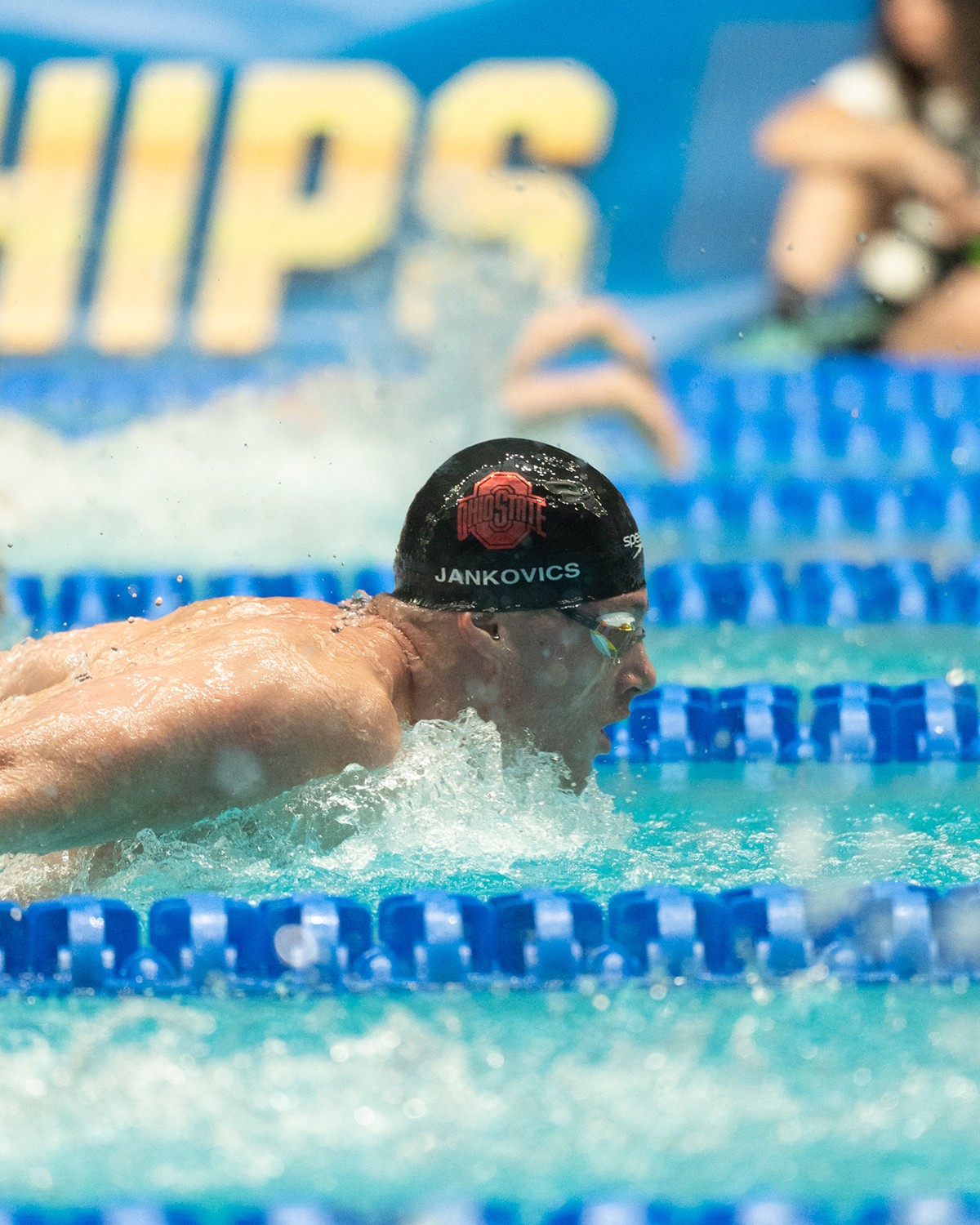 No. 13 Men's Swim & Dive