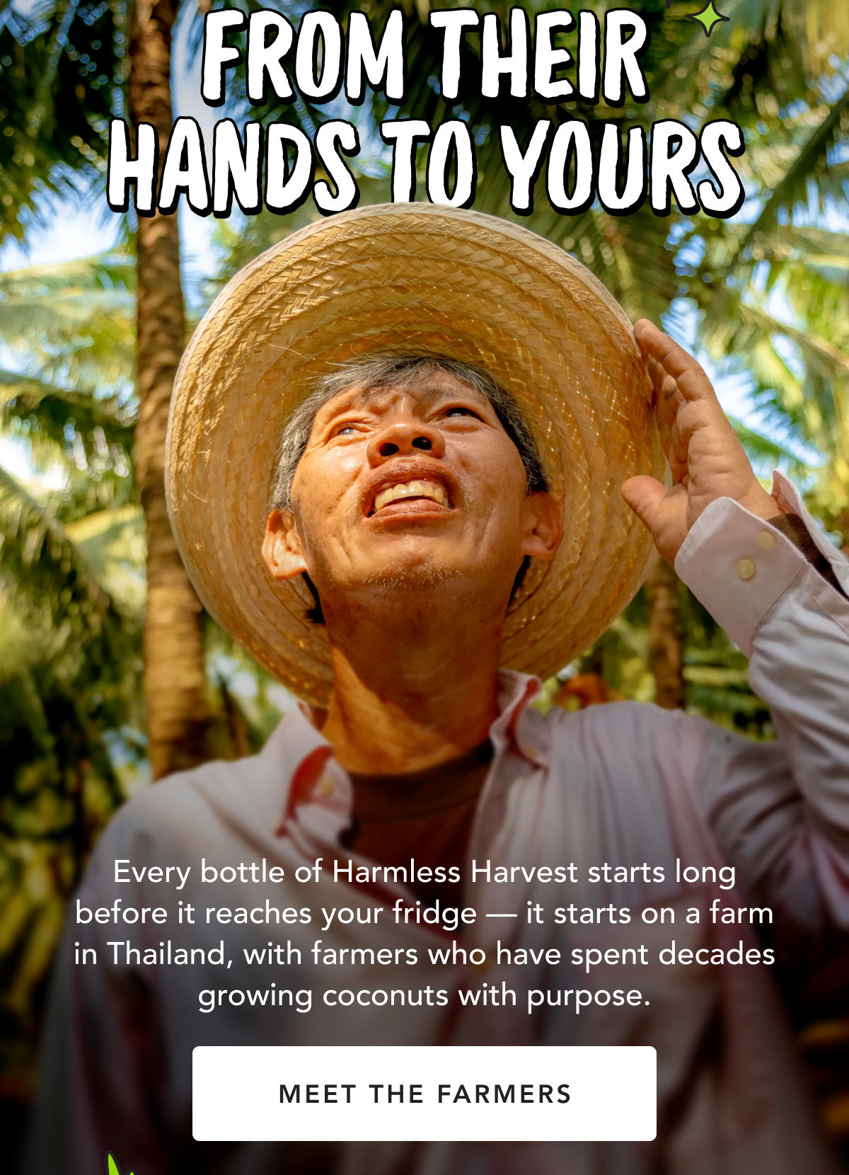 From Their Hands to Yours | Every bottle of Harmless Harvest starts long before it reaches your fridge — it starts on a farm in Thailand, with farmers who have spent decades growing coconuts with purpose. | Meet The Farmers