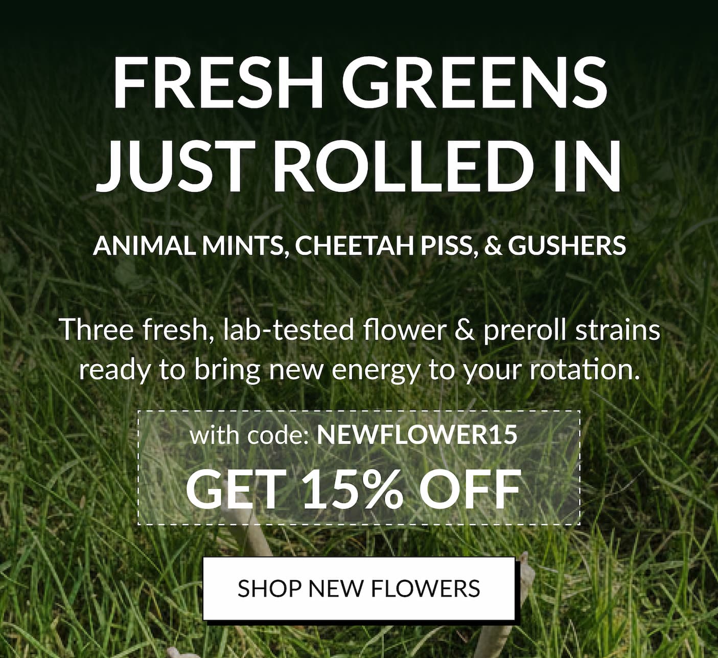 Shop New Flowers