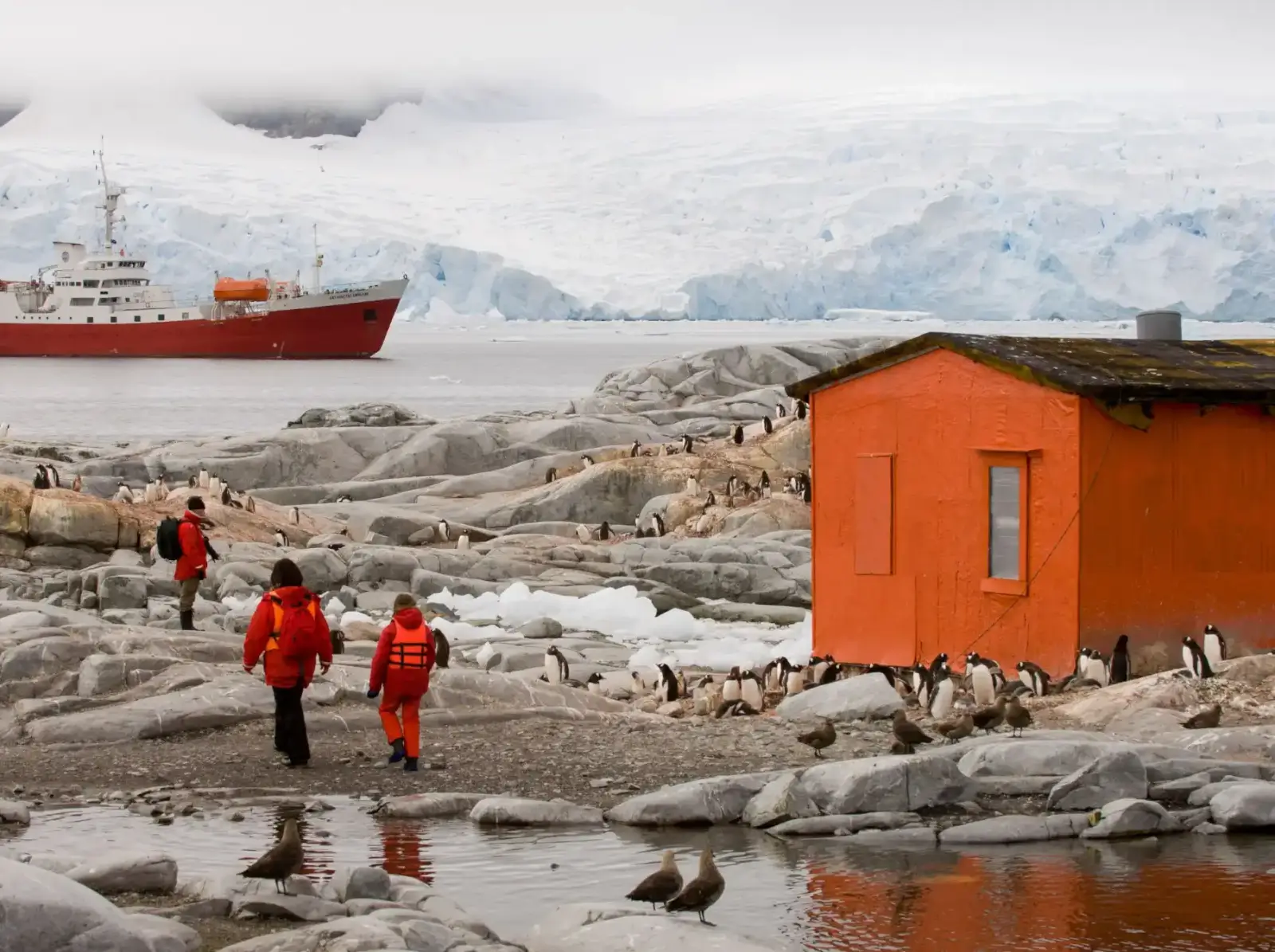 Drama in Antarctica: There is a Group of Scientists Trapped on a Remote Base, 