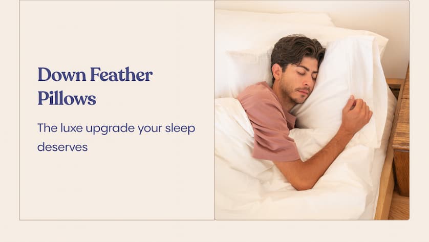 Down Feather Pillows&nbsp;— Our most luxurious pillow, on sale one last time&nbsp;