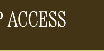 VIP ACCESS