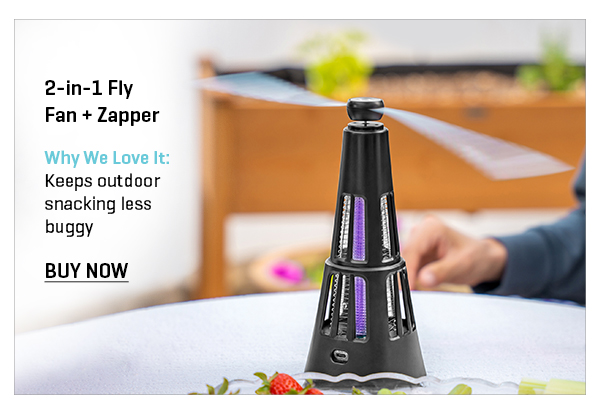 2-in-1 Fly Fan + Zapper (Set of 2)