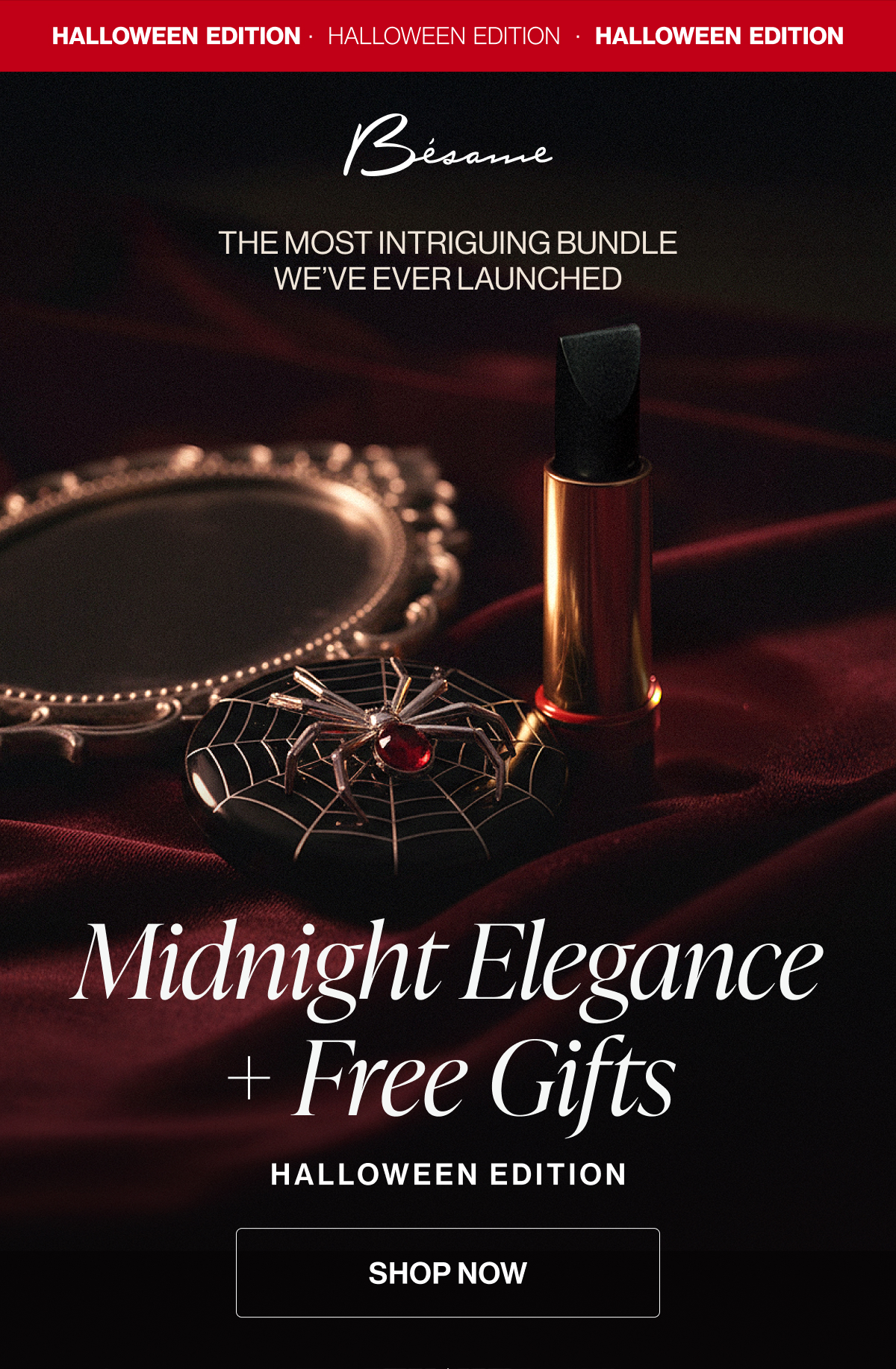 Shop Now