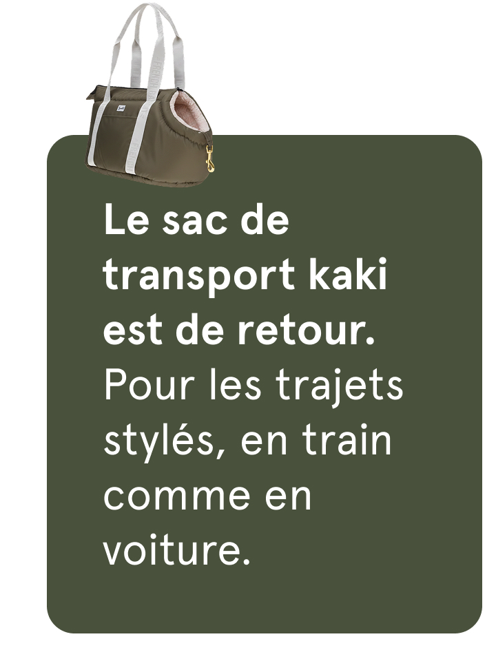 Sac de transport