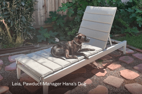 Meet Our Outer Dogs Your dog will adore lounging on your Outer products just as much as you do!