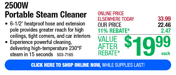 2500W Portable Steam Cleaner - Free Shipping To Store!