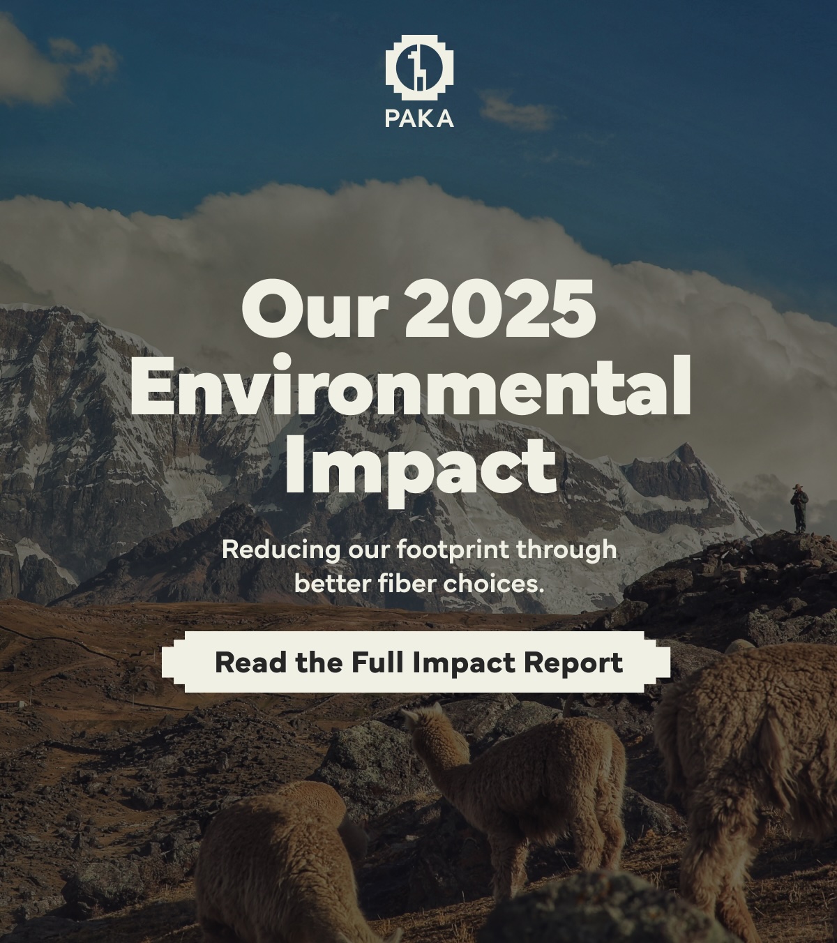 Our 2025 Environmental Impact