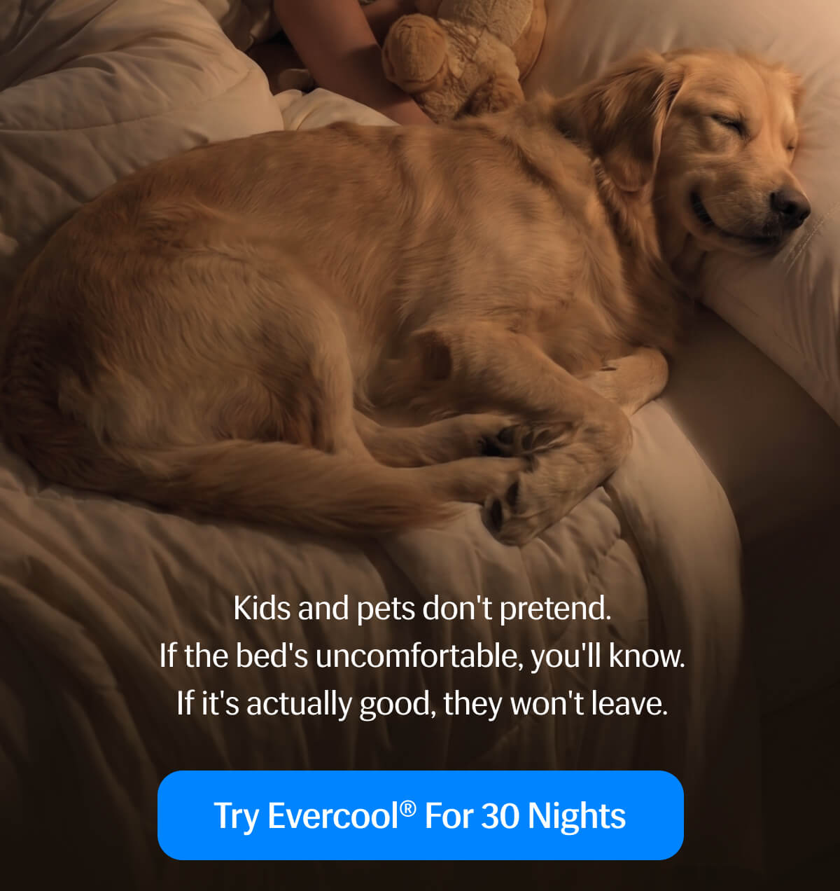 Kids and pets don't pretend. | If the bed's uncomfortable, you'll know. | If it's actually good, they won't leave. | Try Evercool® for 30 Nights