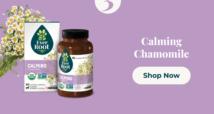 Calming Image and Shop Now CTA 3