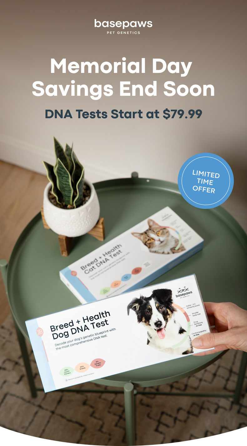 Memorial Day Savings End Soon. DNA Tests Start at $79.99