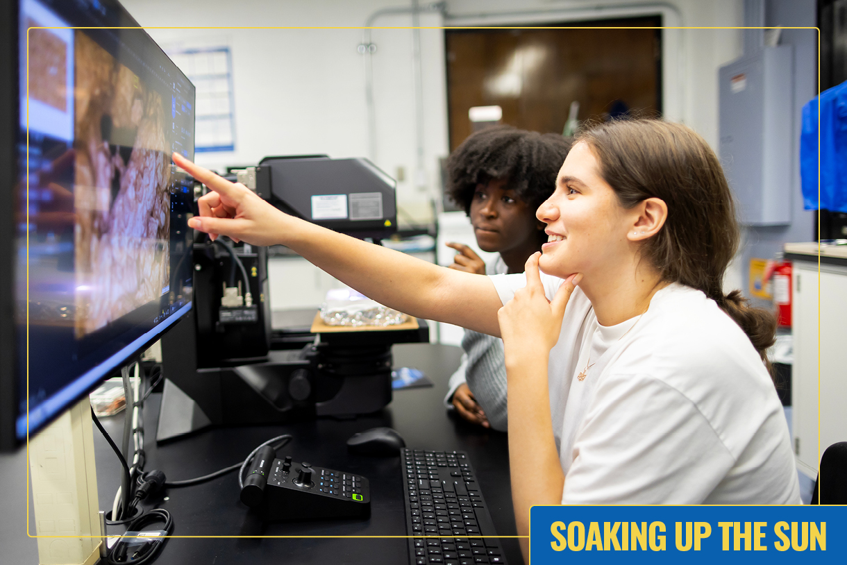 Nafisa Bangura and Angelica Dadda doing hands-on experimental work with CoolSeal-treated asphalt bricks in the Composto Lab.
