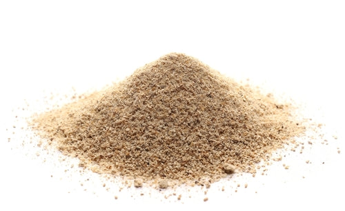 Image of Bulk Organic Lion's Mane Powder