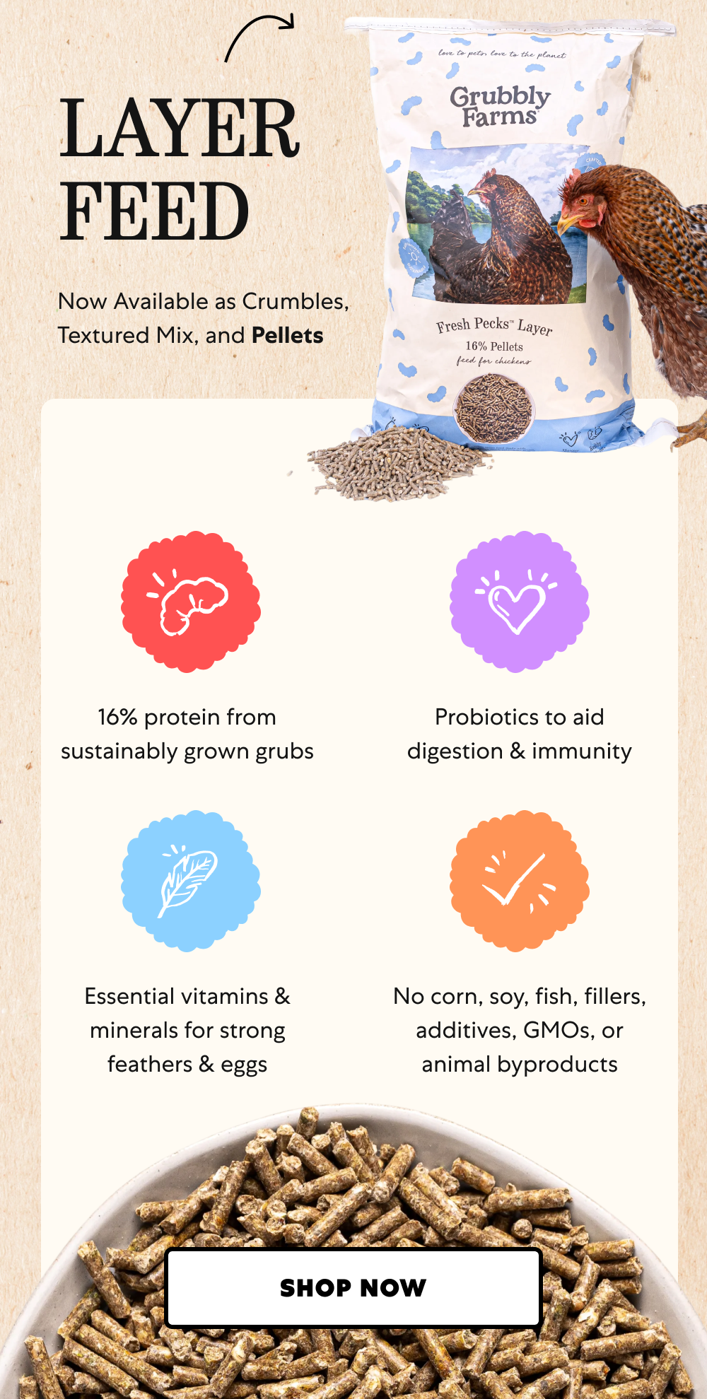 Layer Feed | Now Available as Crumbles, Textured Mix, and Pellets [ Shop Now ]