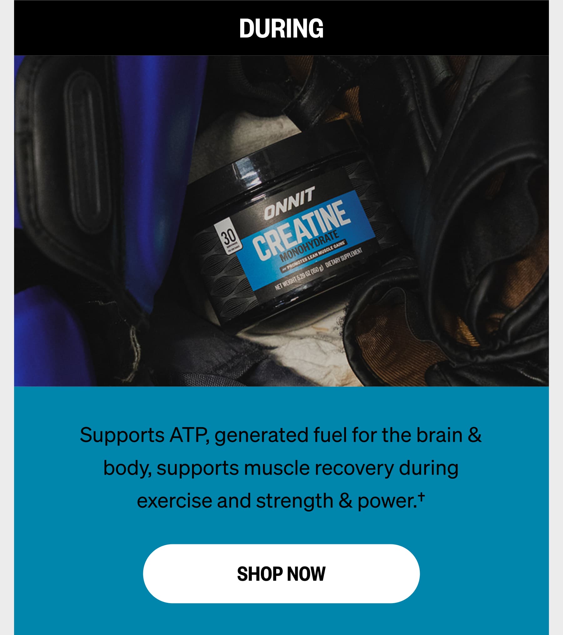 DURING Supports ATP, generated fuel for the brain & body, supports muscle recovery during exercise and strength & power.† SHOP NOW