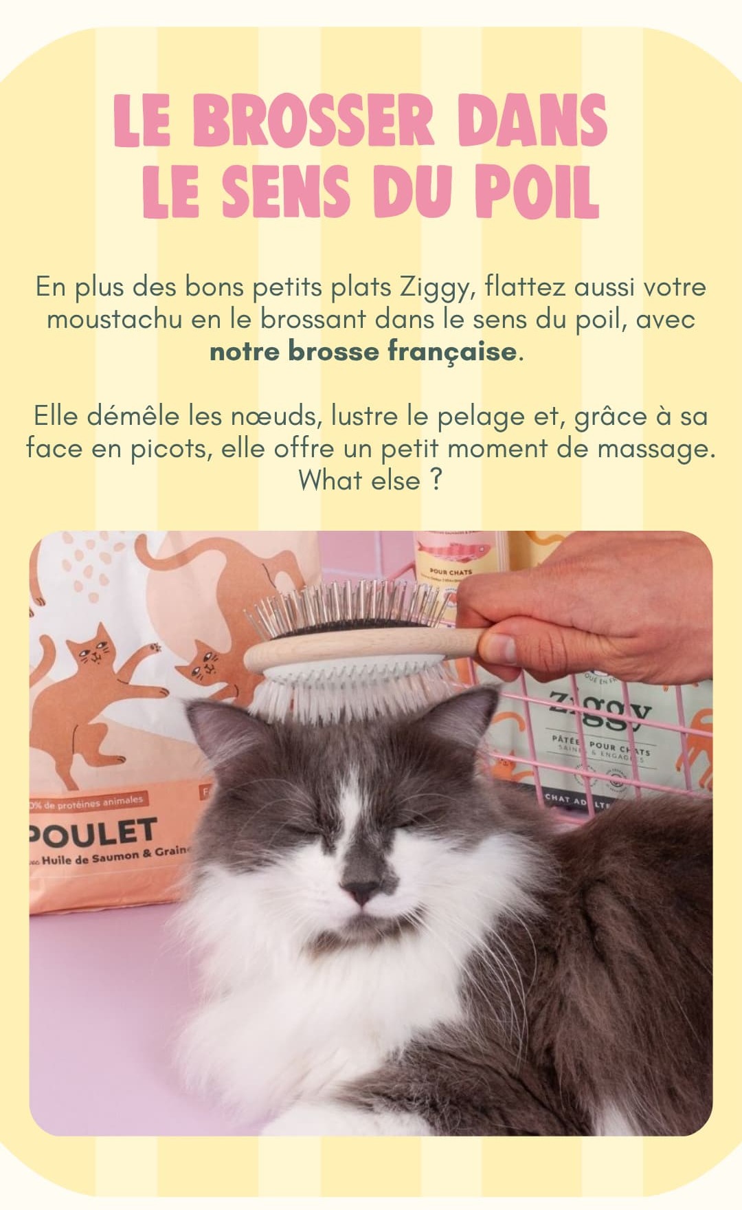 Le brosser dans le sens du poil 